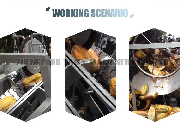 Cocoa Pod Opening Machine factory Cocoa Pod Opening Machine factory