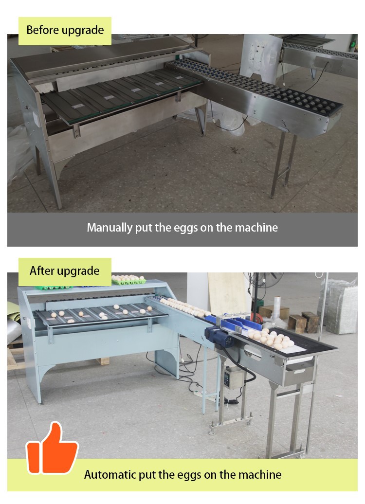 egg size sorting machine egg size sorting machine
