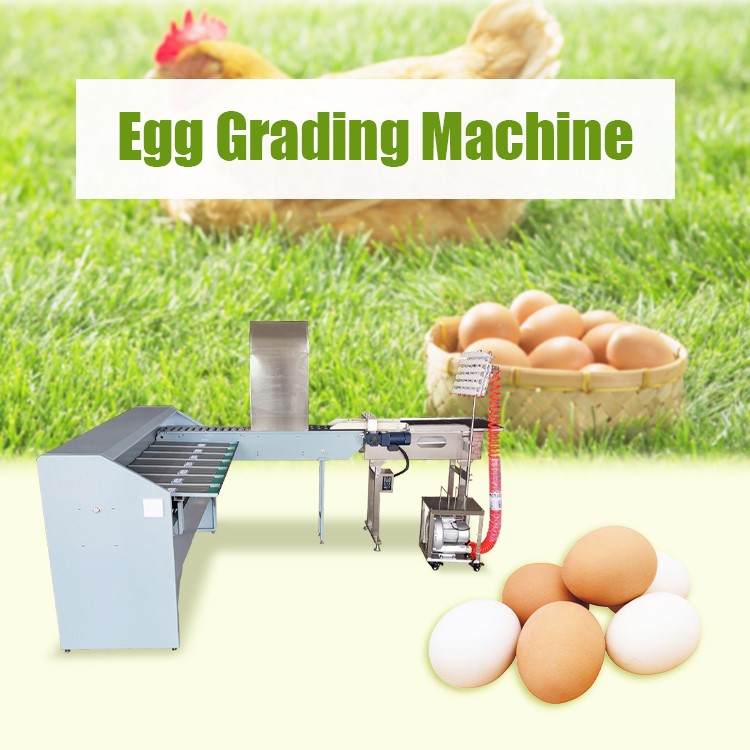 egg size sorting machine egg size sorting machine