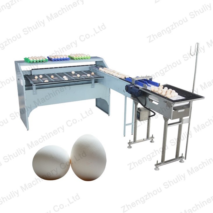 Egg Size Sorting Machine