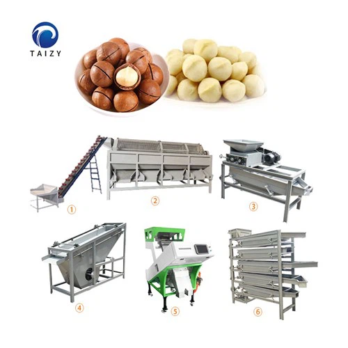 Linea Di Produzione Di Noci Di Macadamia