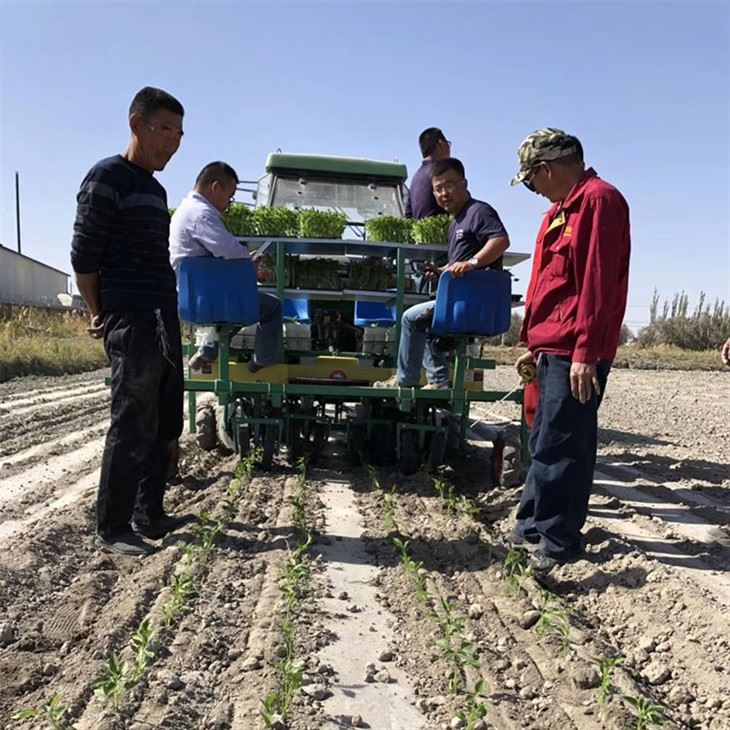 Vegetable Transplanter Machine