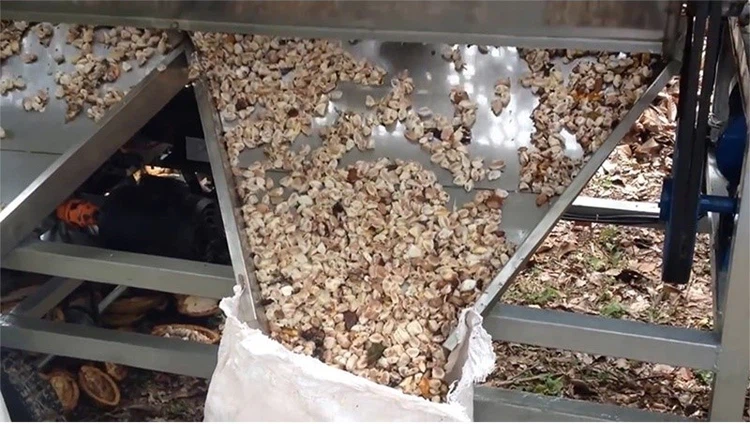 cocoa pod separator cocoa pod separator