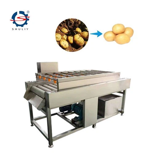 Spazzolatrice per patate